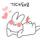 161카페