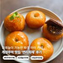 파주 아이 카페 추천 | 모래놀이 가능한 개성주악 맛집 연리희재 후기