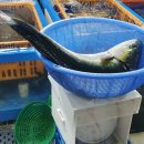 22번수산 이미지