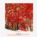 구문소 | 태백 단풍 명소 구문소 계곡 폭포 절경에 반하다