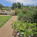 왕바위길 이미지