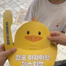 가볼만한 김포아라마린페스티벌 명당자리(지도), 주차팁, 준비물, 카약체험 후기