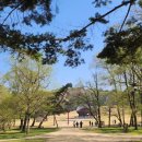 화성융릉LPG충전소 | 서울 근교 가볼만한곳｜효심의 왕 정조 이야기와 아름다운 왕릉 산책이 가능한 화성 융릉과 건릉