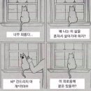 (주)우루루 이미지