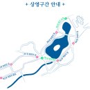 「어디서 찍든 인생숏 건지는 &#39;창경궁 물빛연화&#39;🌃」