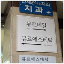 뮤르에스테틱