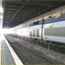 수원-1729 이미지