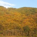 검암산(중간) 이미지