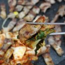 바로고기 Daum카페