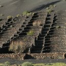 화산농장 이미지