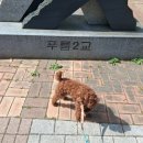 들고메고 - 포항시 북구 죽도시장길 14-2 | 들고메고