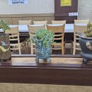 금강우렁쌈밥 이미지