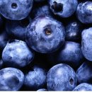 (주)그레이트짐 이미지