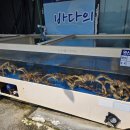 서영수산 네이버블로그