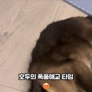 냥냥스테이 이미지