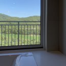 근수목장 | 증평 벨포레 리조트 맛집 카페 조식뷔페 35평 1박 후기 /벨포레 1탄