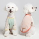 메종드퍼피 이미지