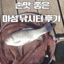 용인 마성 낚시터 후기.