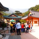 전하초등학교 이미지