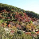 지리산 단풍비 이미지