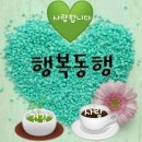 효심주간보호재가센터 네이버블로그