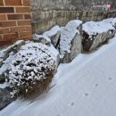 화송왕족발N순대국 | 2026년 2월 일상 기록