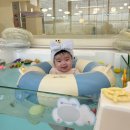 (주)에이치에스자동차서비스 | 동탄 수영장 키즈카페 물노리베이비 | 5개월 아기랑 방문 후기, 가격, 시설