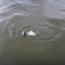 부연낚시터 이미지