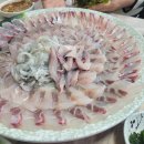 외옹치항 | 속초 대포항횟집 백승호횟집] 외옹치항 회센터 맛집후기