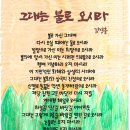 오시라 이미지