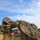 석가가든 | 1/25-1/28 엄마랑 타이베이🇹🇼 | EP 2: 파인애플 석가, 예스폭지, 동방미인차