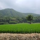 횡성농협 하나로마트 이미지