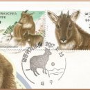 대구우체국 이미지