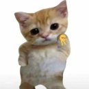 요쿠야마치 - 전주시 완산구 마전3길 2 | 요쿠야마치