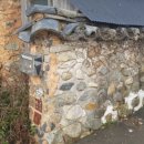 손오공농장 이미지