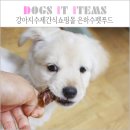 삼형제 펫푸드 | 강아지수제간식 ! 난 대만족이었던 은하수펫푸드 ♥♥