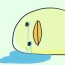 이지산부인과의원 | 제왕절개 5일차 6일차 후기(블러드패치 후기, 신생아 작명)