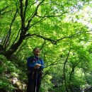 내면파출소 이미지