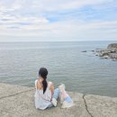 피아노 화장실 | 영종도대형카페 레드피아노 | 을왕리 해수욕장 오션뷰 애견동반가능 내돈내산 솔직후기