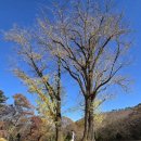 구암사 | 순창 구암사 25.11.15