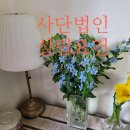 사단법인 좋은모임 이미지