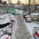 문암농장 이미지