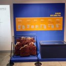 (주)문화의물결FNC
