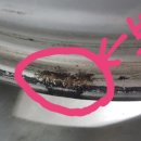 진모터스자동차정비 이미지