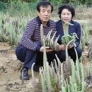 박현구농장 연합뉴스