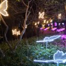 커피호수 이미지