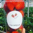 아꼬아체험농장