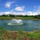 라온 골프연습장 이미지