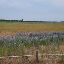 창내리 쉼터 이미지