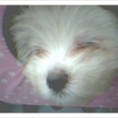 우리축산약품 이미지